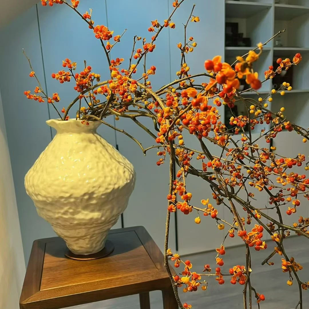 秋色高端小众南蛇藤干枝摆件客厅摆件客厅树枝鲜切枝