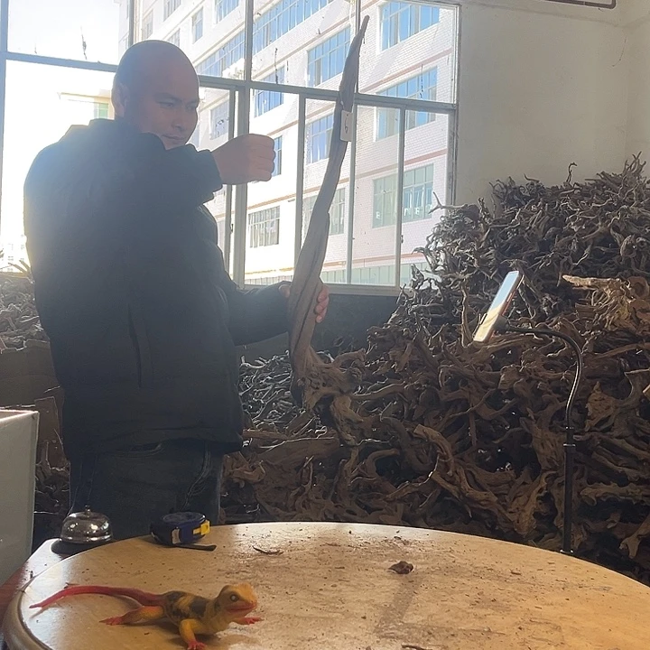 木952220 鱼缸造景根雕摆件6