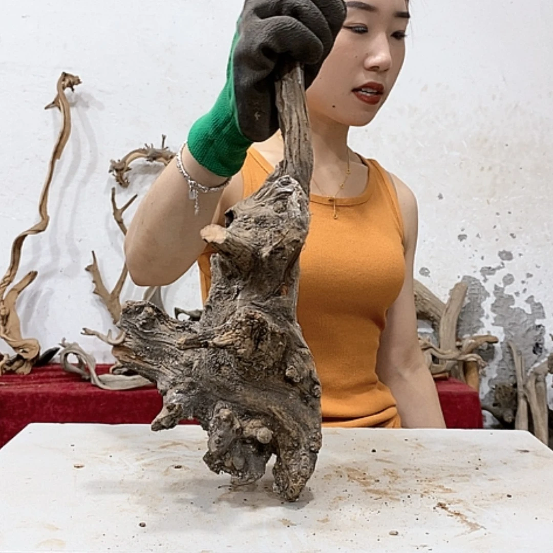 【闪购商品】柏木山****司我们都是好孩子啊