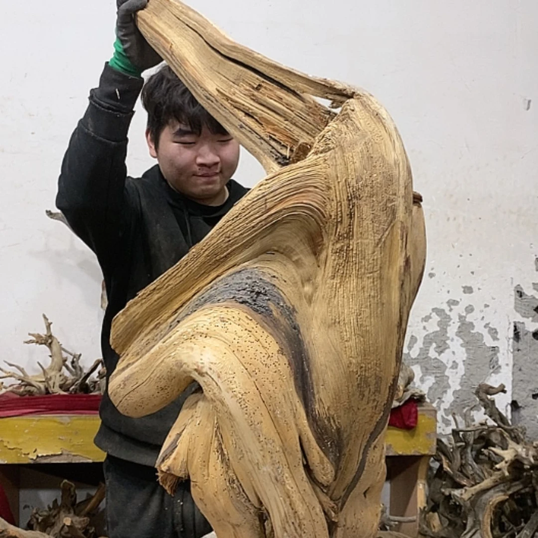 【闪购商品】柏木上****签我们都是好孩子