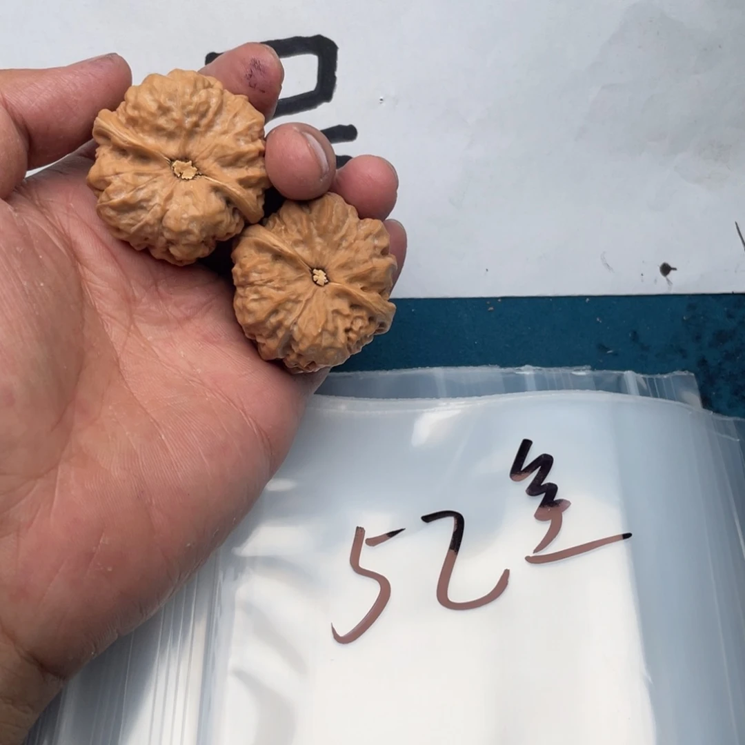 479749794497497496974