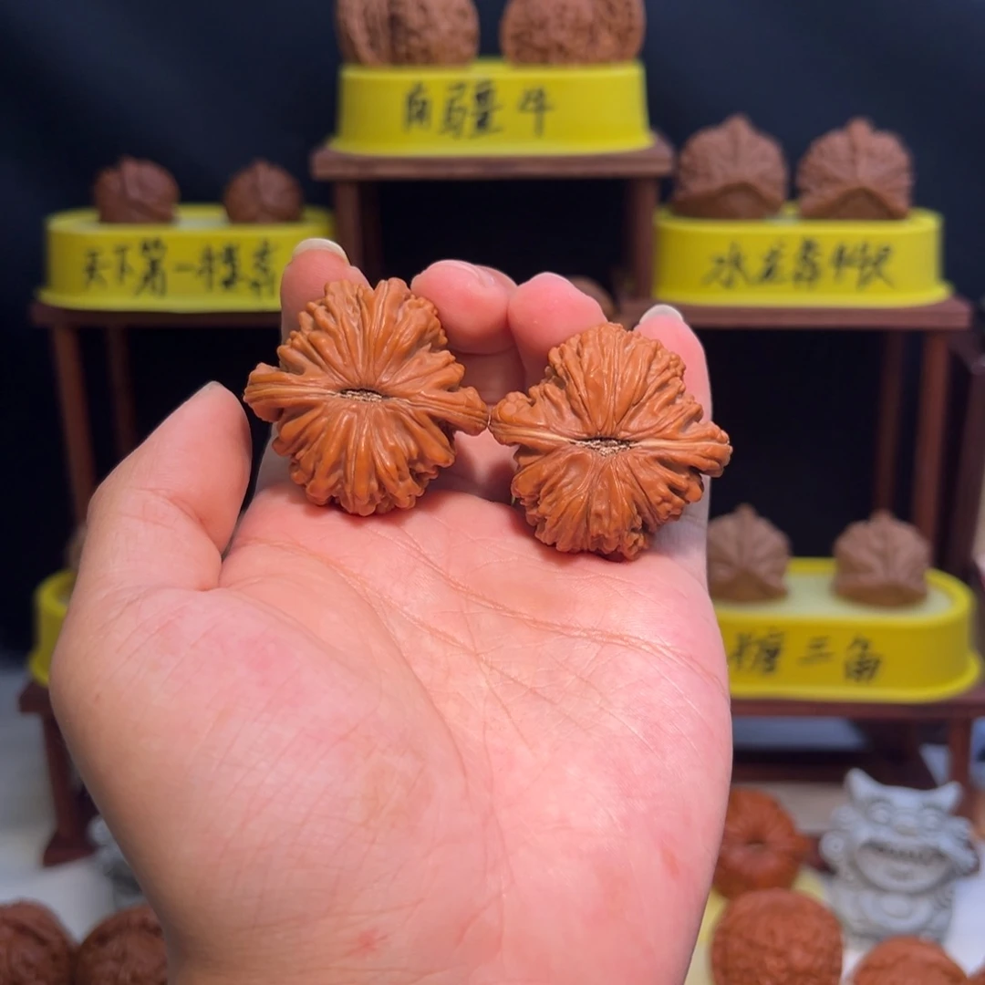 核桃全品41.5楼子c