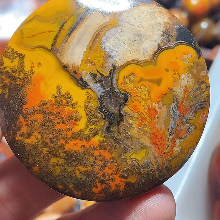 玛瑙/玉髓玛瑙未镶嵌徽****家