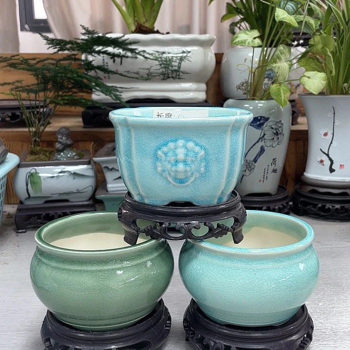 陶瓷花盆抢购福利活动