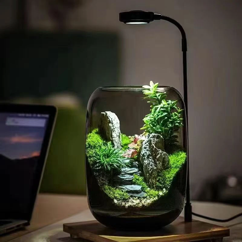 造景植物补光竹台