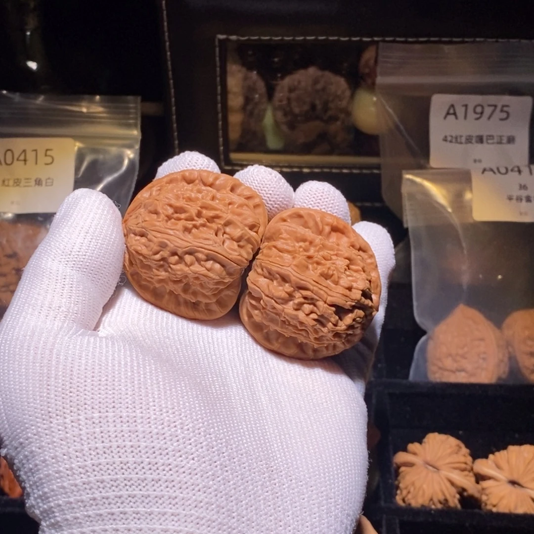 吊坠文玩核桃40白狮子微修不提不换