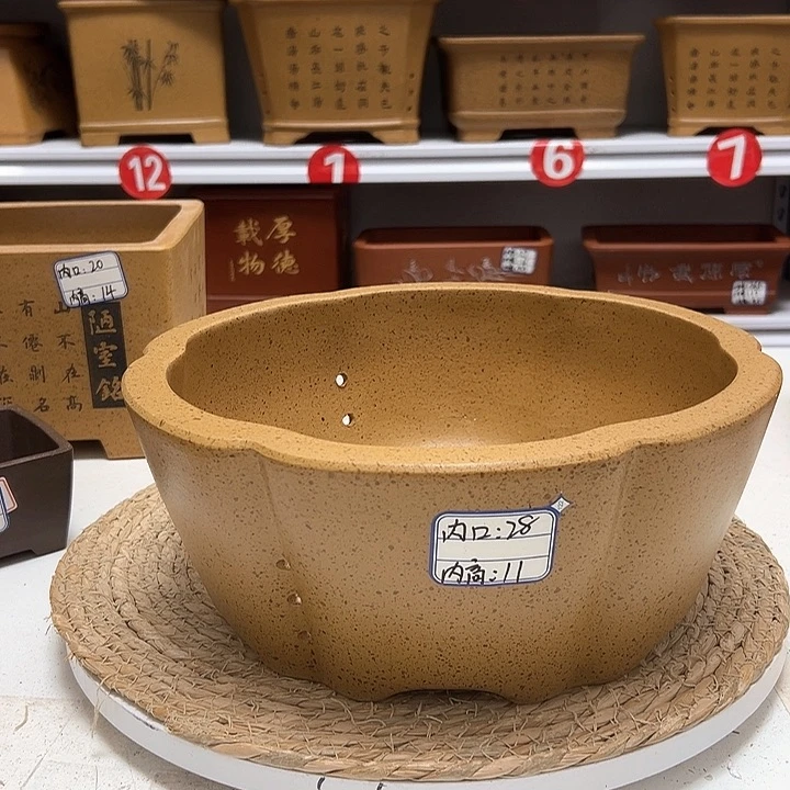 紫砂花盆蛇年大吉