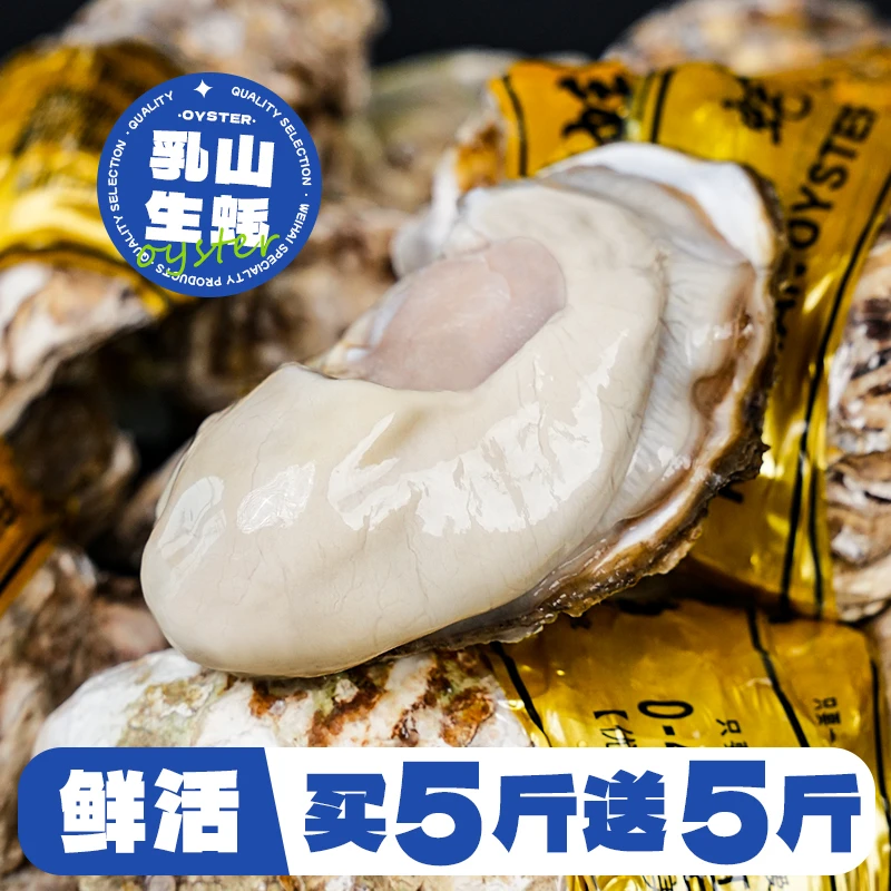 【蚝美佳】买5斤送5斤鲜活正宗乳山生蚝 牡蛎海蛎子冷水蚝肥嫩
