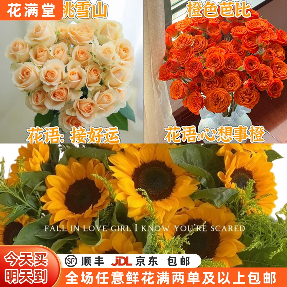 【次日达·心想事成】向日葵3枝香槟5枝橙芭比5枝·生活鲜花·全场两单顺丰包邮·基地直发·批发·向日葵次日达