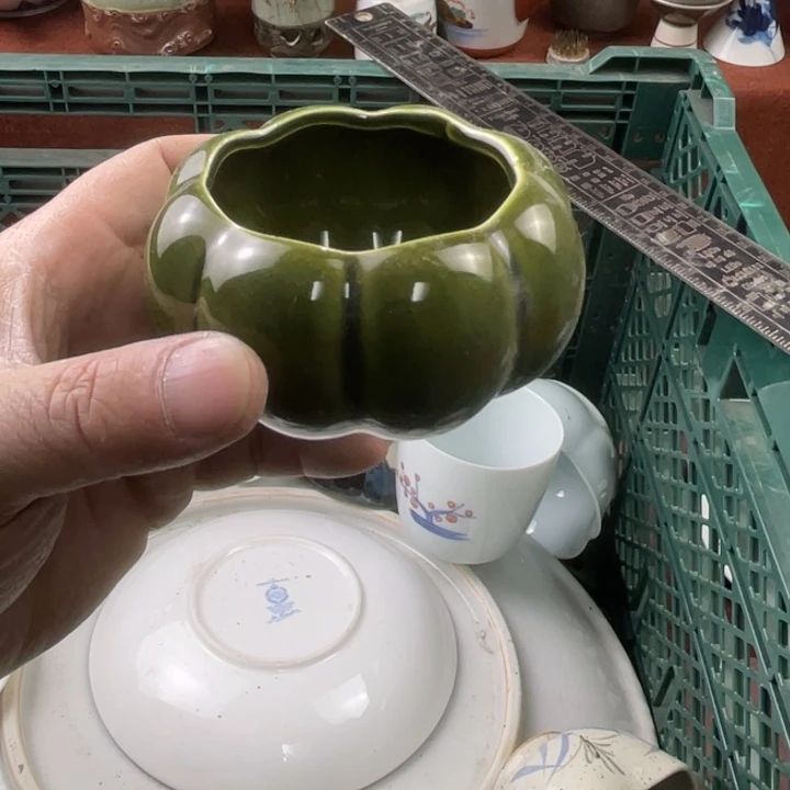 碟开播了开播了开播了