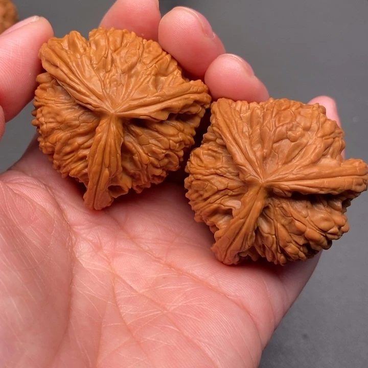 郭***育木质类核桃核桃核桃