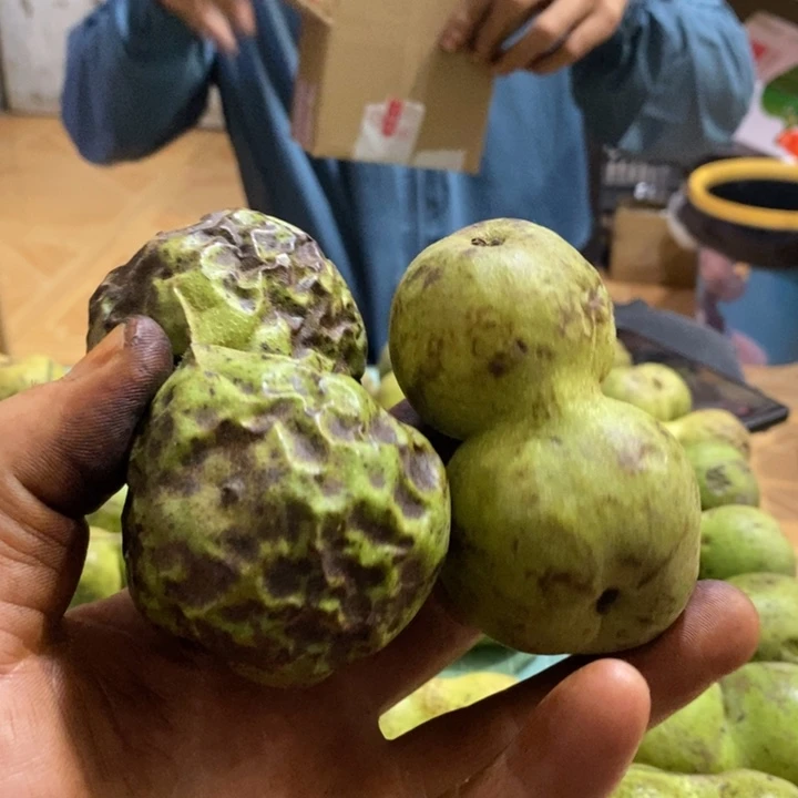 把件文玩核桃德****鱼