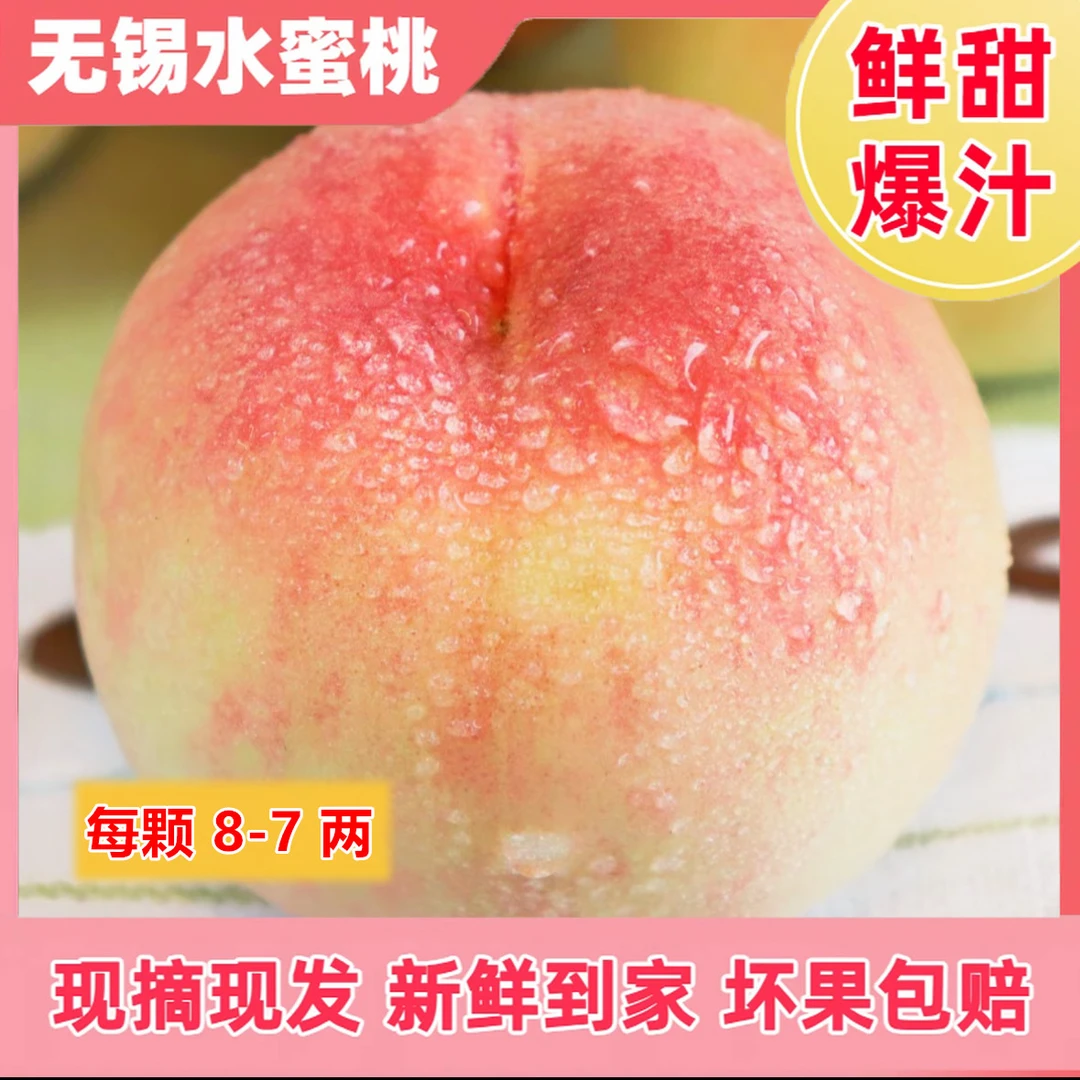 【正宗无锡水蜜桃8-7两】现摘新鲜超甜当季整箱桃子礼盒桃子
