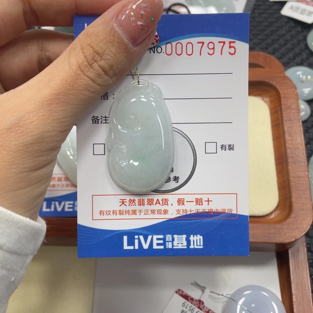 翡翠颈饰未镶嵌翡翠吊坠x 7975