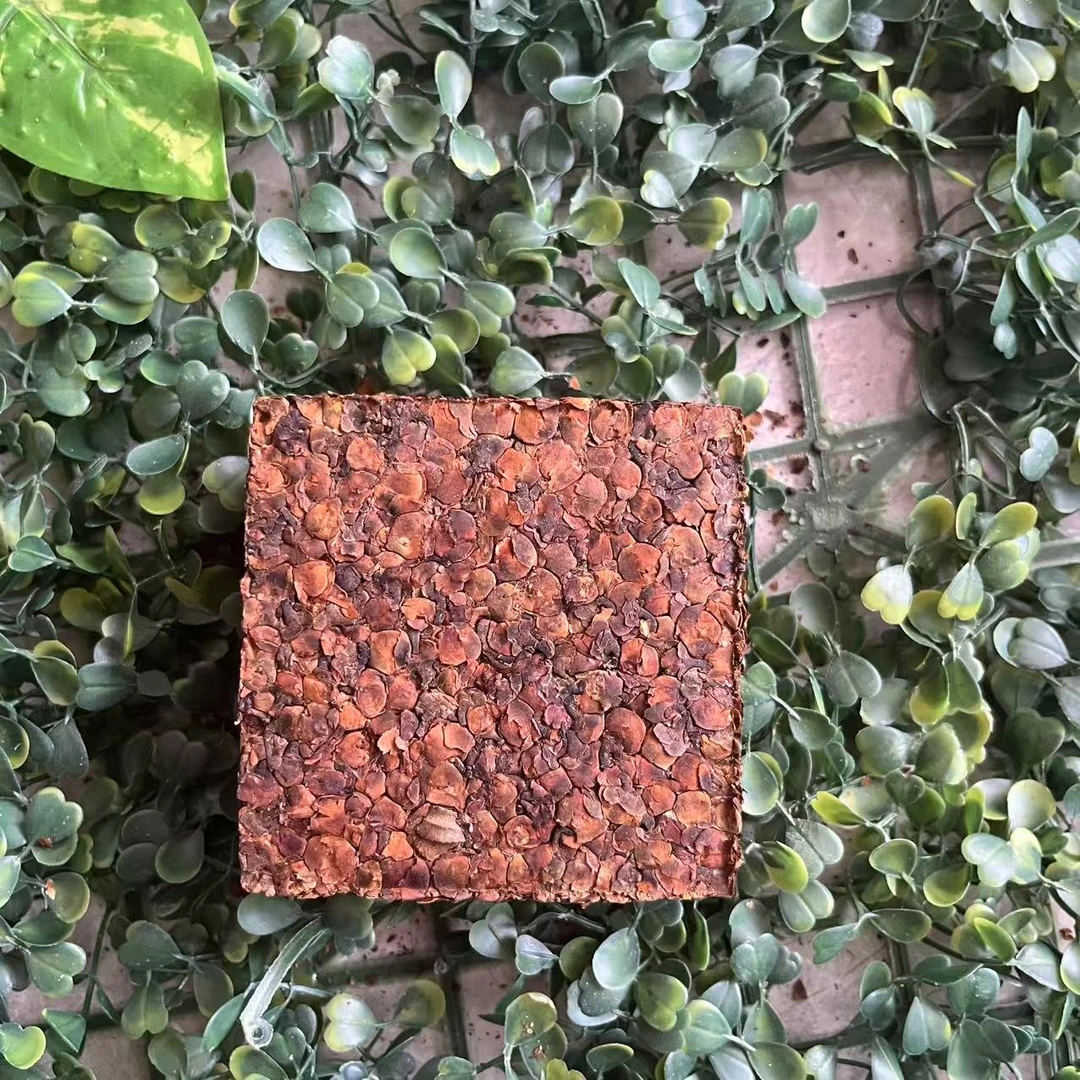 雨腾古茶 阁中B”镇元人S L果”D仙200g/砖 （4月5）