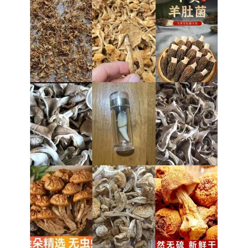 FD89 【郎】高端品质   香菇菌子   现收山货