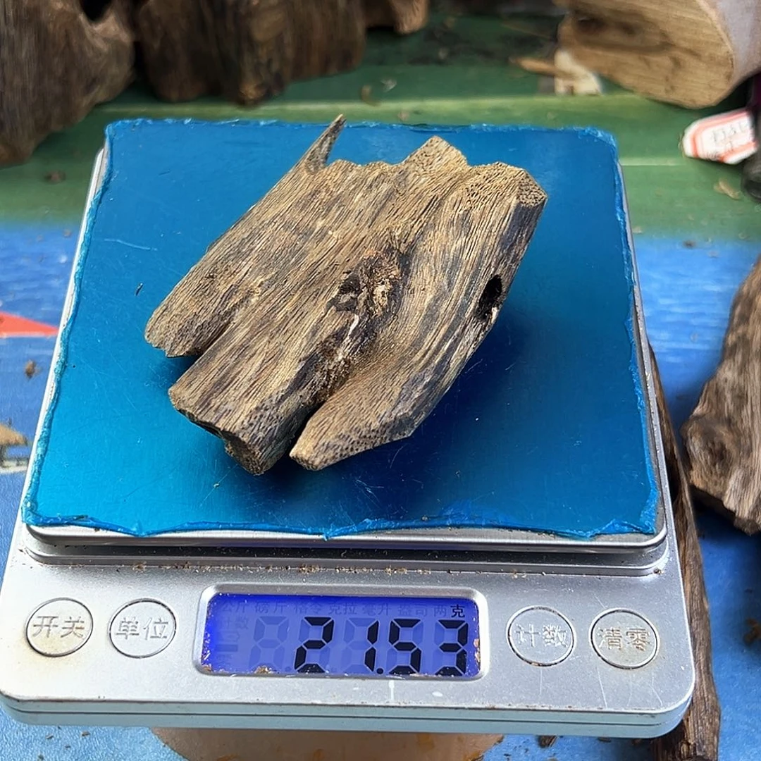 香料绿奇楠虫漏红骨凹身21克