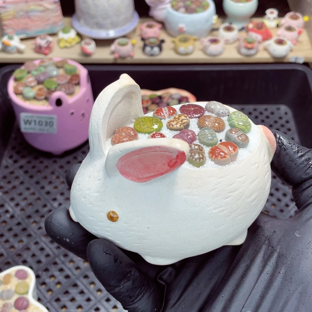 夜间零下地区拍保温箱w1032