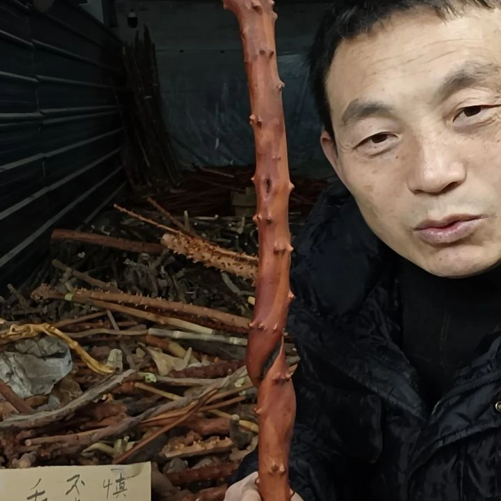 稳定木莲****心贵州檬子木   铁马鞭   根艺  半成品