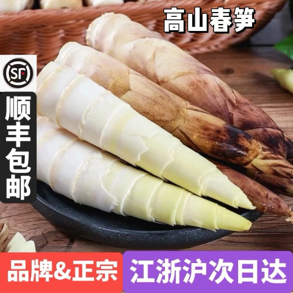 【福利甄选】浙江临安春笋天目山春笋鲜嫩竹笋新鲜现挖切根3斤/起
