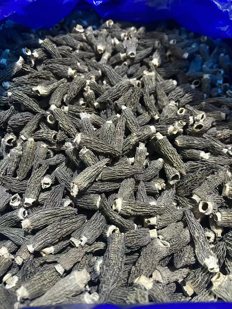 （野生细纹羊肚菌）4-6公分味道非常香炖汤炒肉非常好