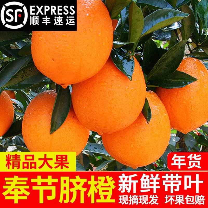 【顺丰包邮】正宗重庆奉节脐橙 顺丰包邮到家 新鲜采摘产地直发