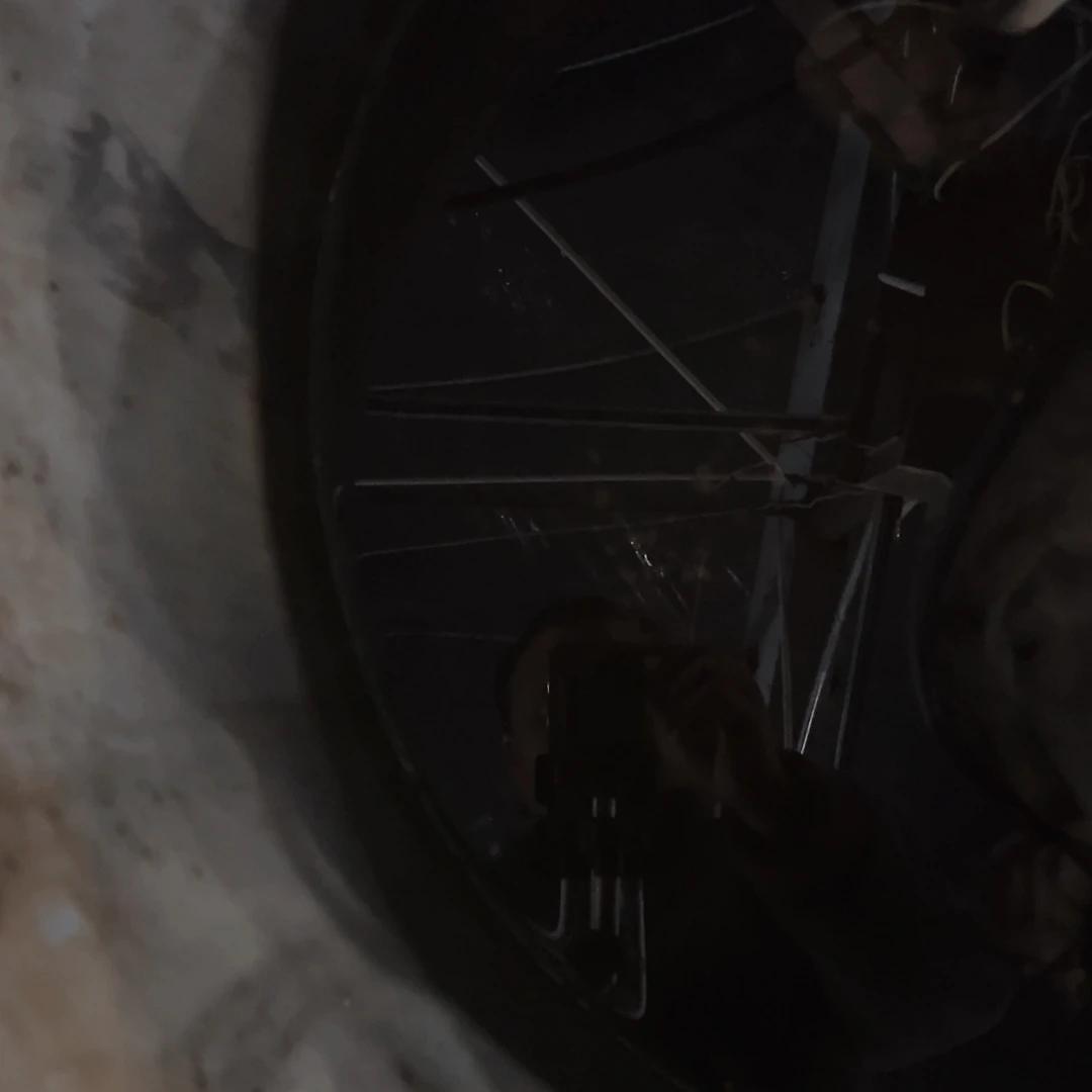 盆景皋月杜鹃叶面肥