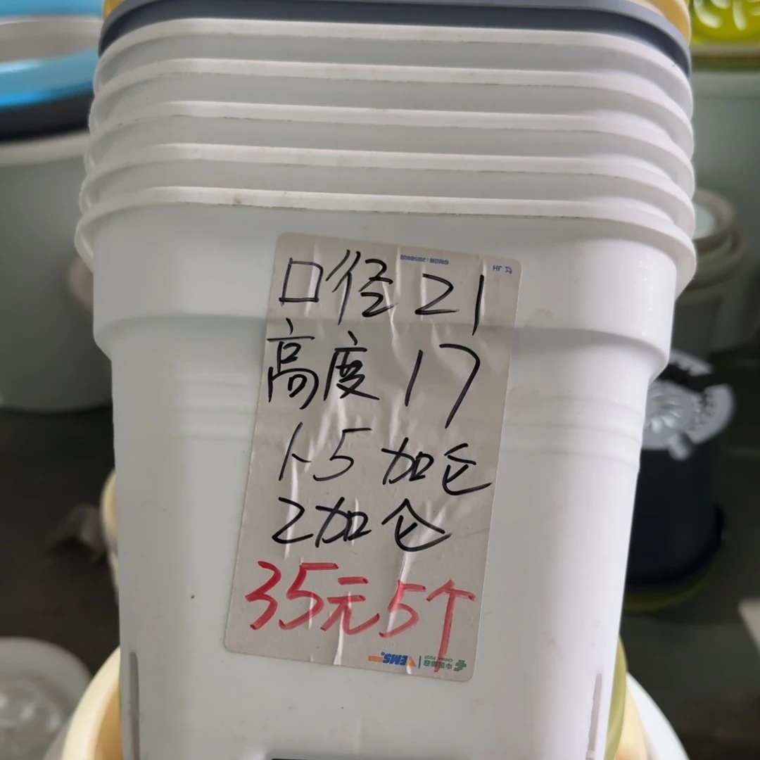 新款方盆口径21带拖纯白5套