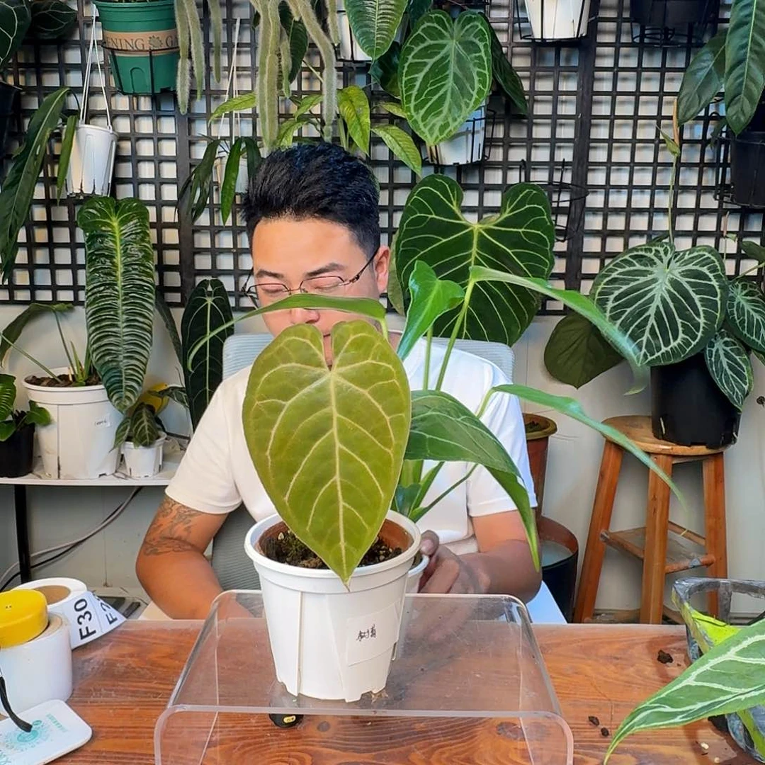 无花朵我****）一物一拍F28