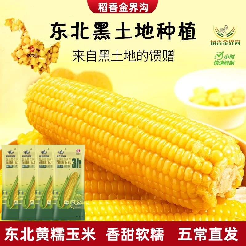 【试吃3根】东北黄糯玉米整箱/5斤/10根 香甜软糯营养代餐粗粮健康