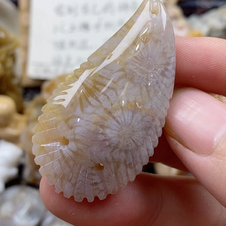 颈饰未镶嵌硅化珊瑚（珊瑚玉）