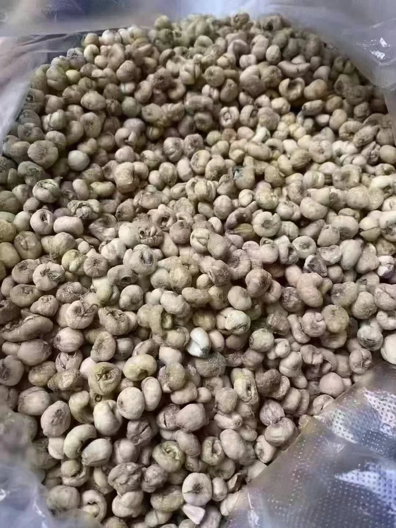 深山野生川贝1斤