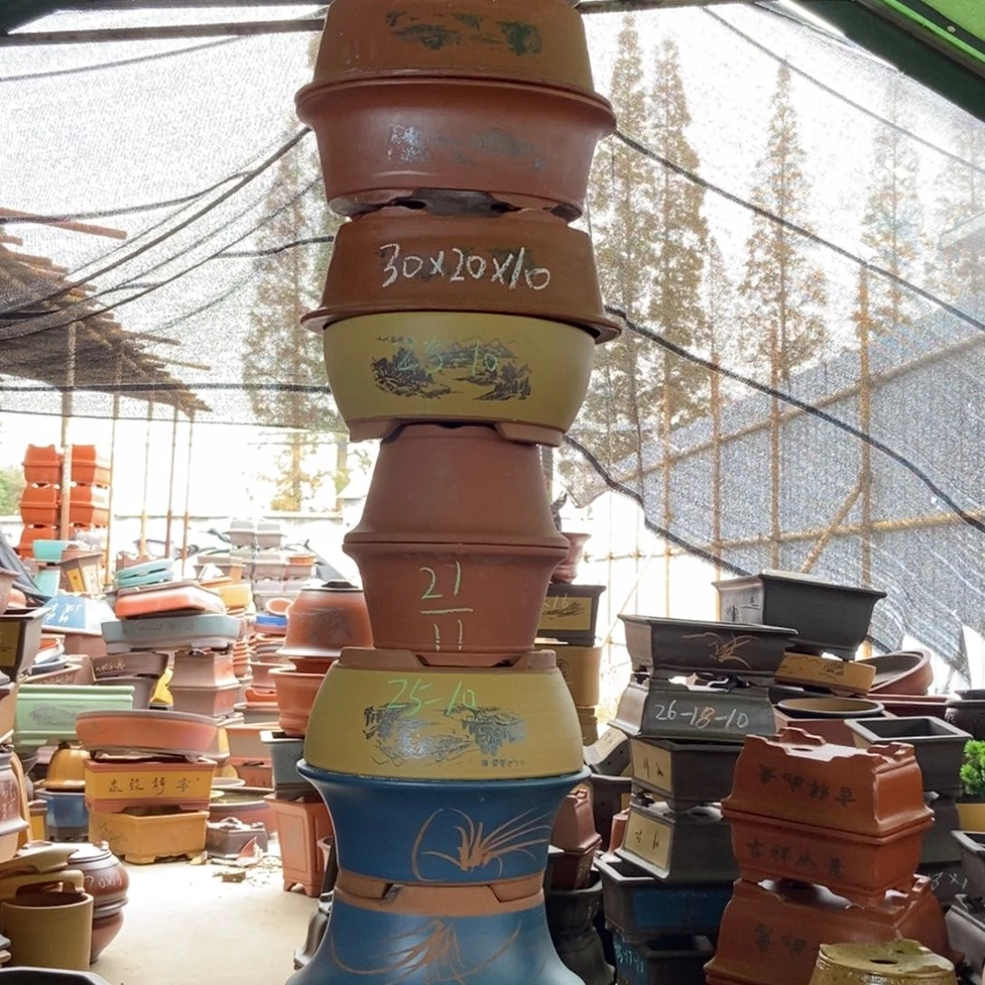 花盆紫砂紫砂紫砂