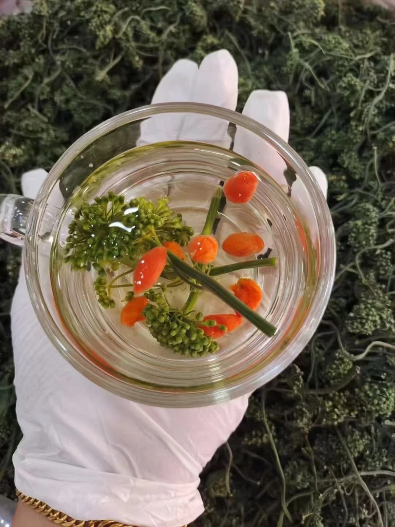 自家种植 采摘人参花 每年一茬