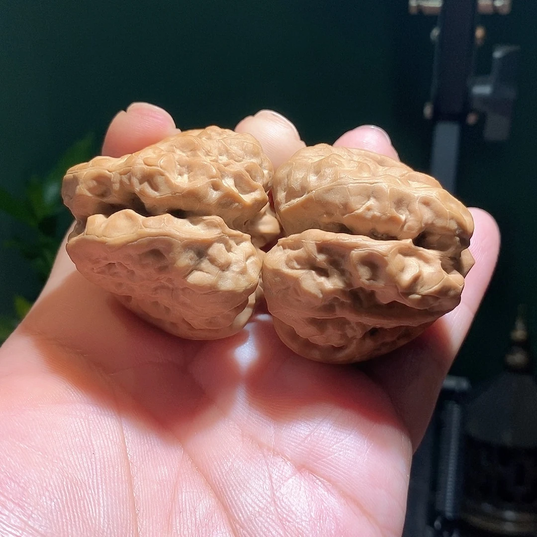 把件文玩核桃50肚三角箭毒蛙