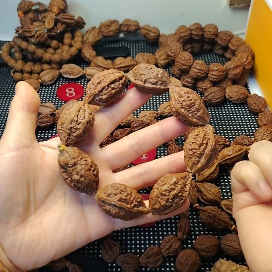 吊坠文玩核桃波波4大鳄鱼背