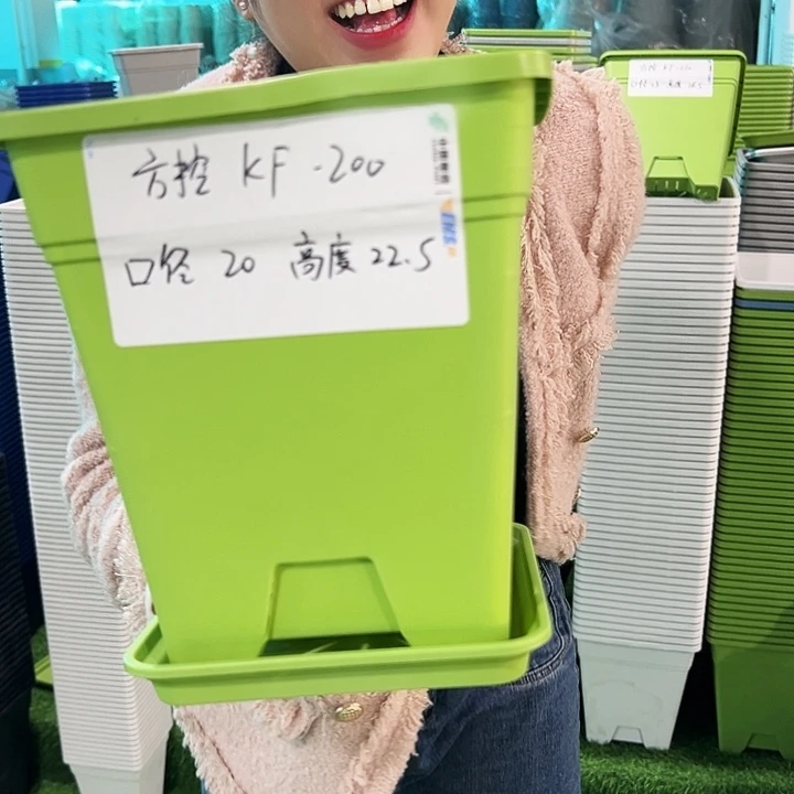 正品方盆口20高22果绿带托6只