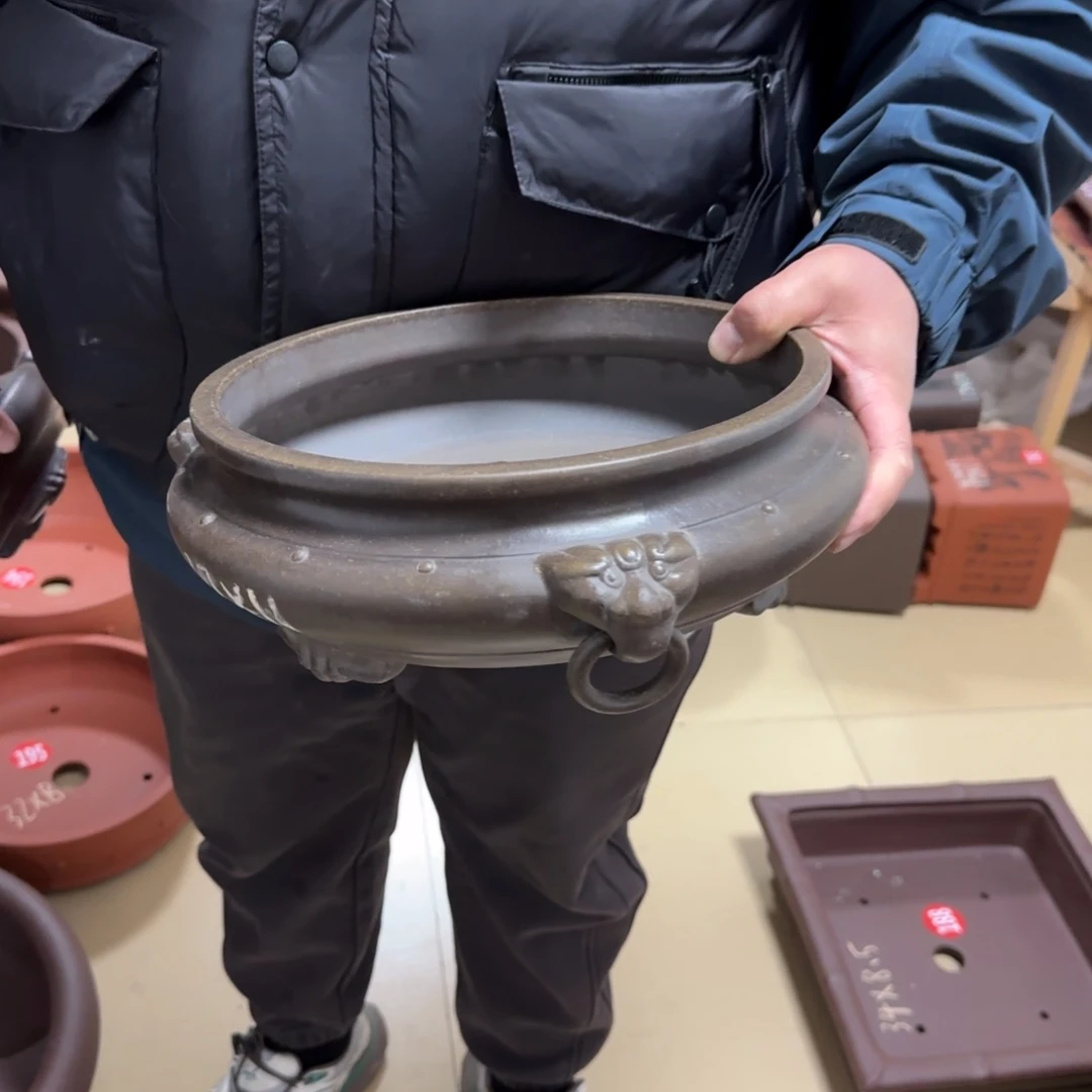 紫砂花盆我呜呜呜呜呜呜