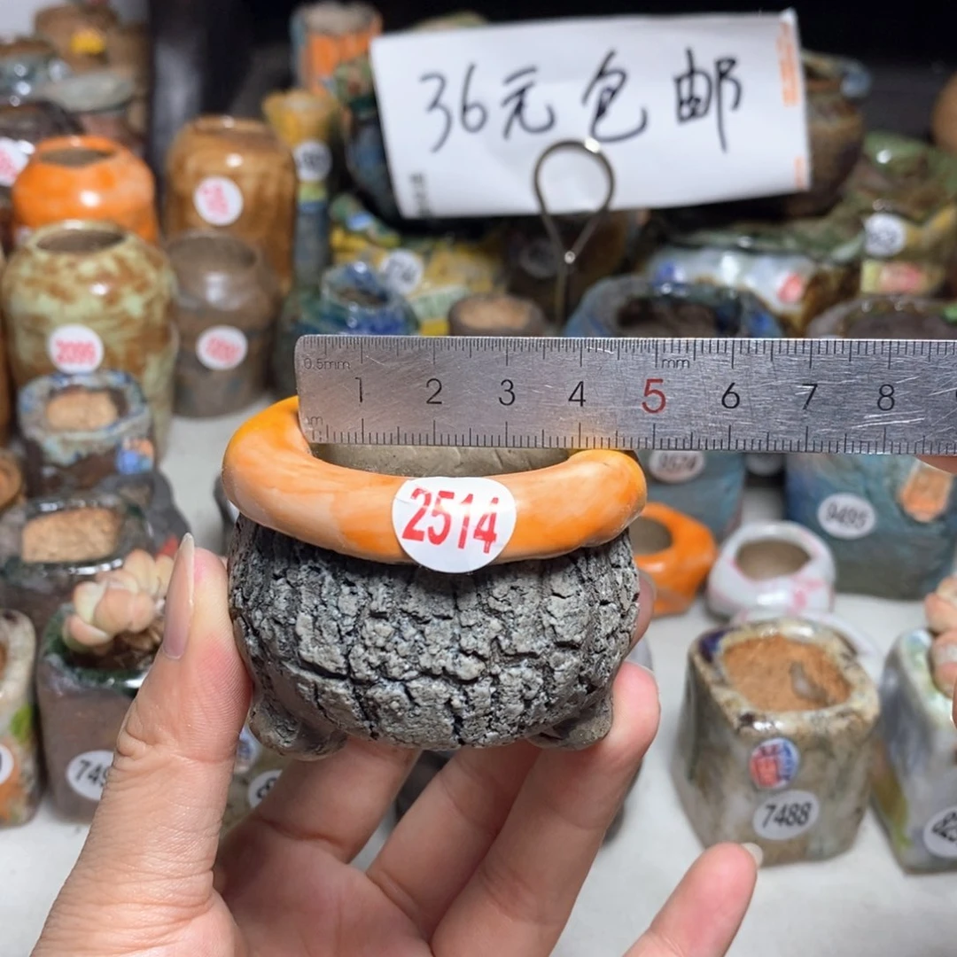 拍3送一个小礼物