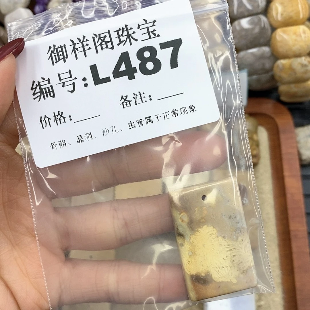 硅化珊瑚（珊瑚玉）L未镶嵌珍**康