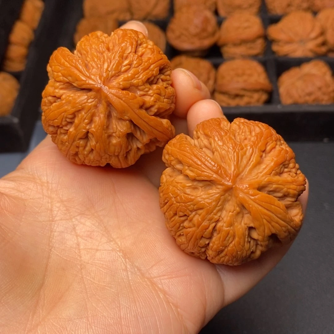 文玩核桃把件秦岭野生核桃