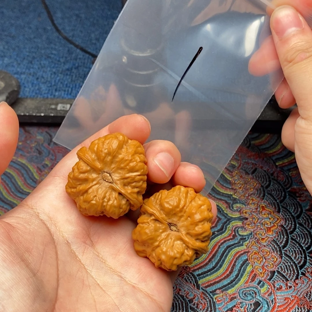 核桃哈哈哈哈哈哈哈哈哈哈哈哈哈哈哈