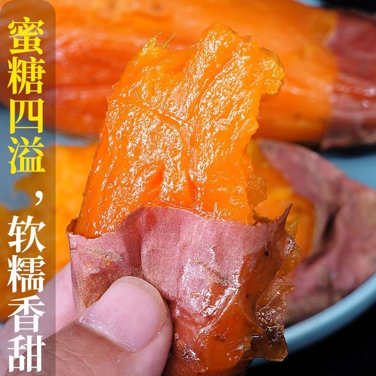 正宗烟薯25号新鲜沙地现挖红薯红糖心蜜薯番薯当季F