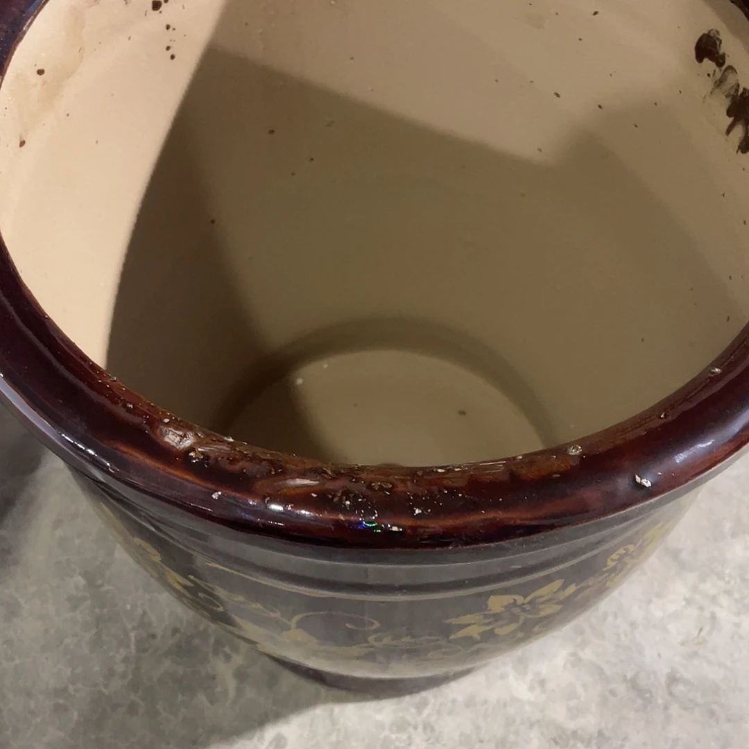 大肚金花大号瑕疵款