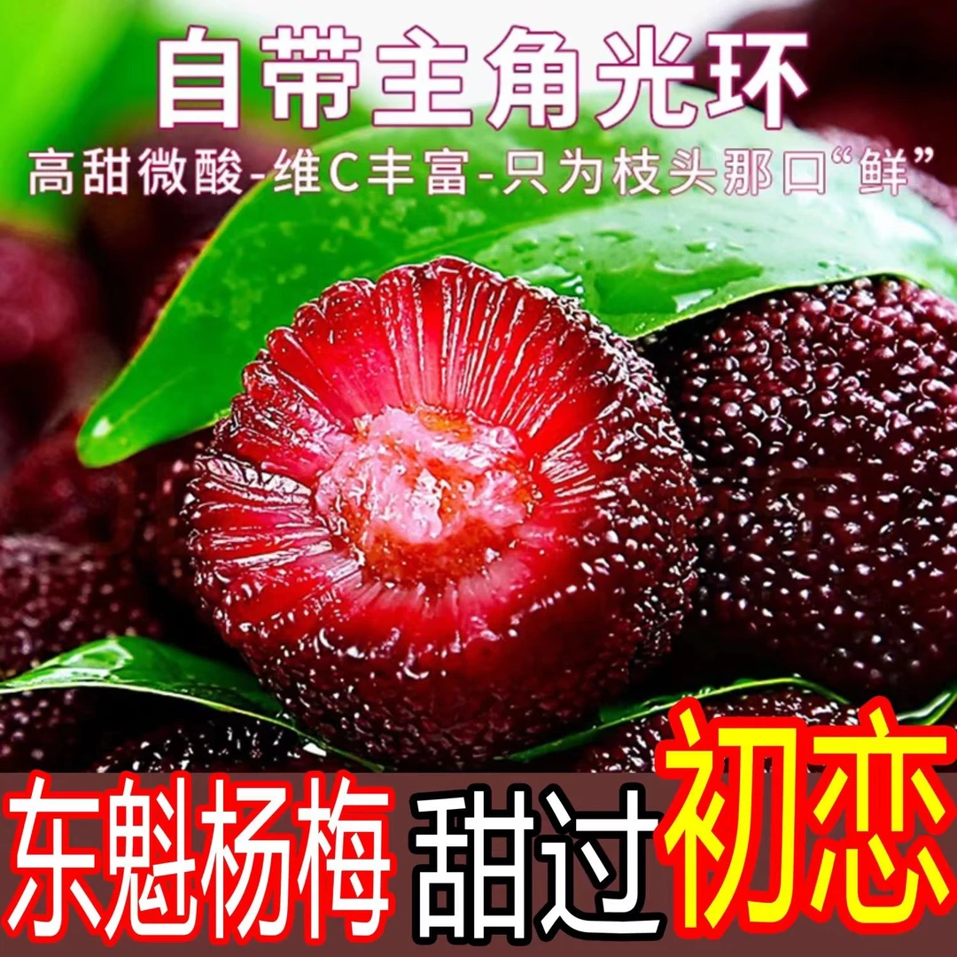 云南高山东魁杨梅新鲜现摘酸甜可口3斤4斤顺丰冷链包邮新鲜杨梅云南省