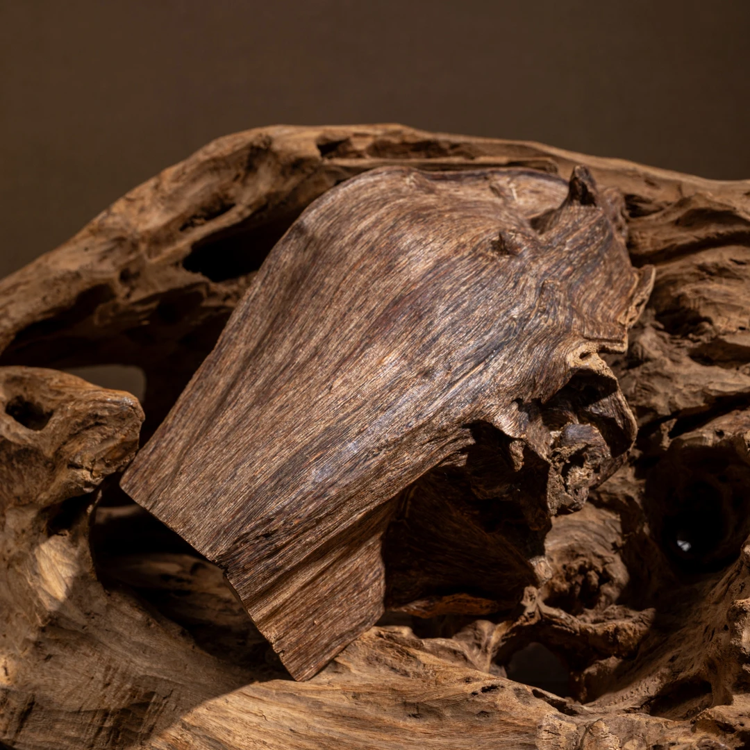 【典藏尖货】正区海南根部老瘤头原料61g 关注播播间 沉香摆件标本