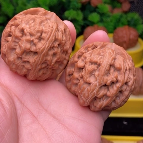 宁**然红锦鲤45.6全品111111