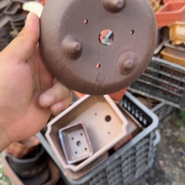 一天没事啊不敢看啊笑