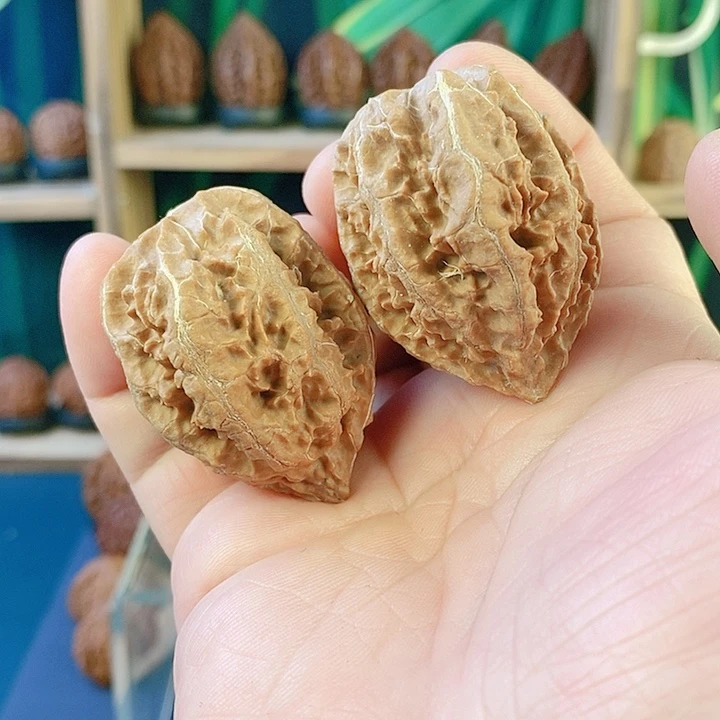 吊坠文玩核桃赤龙41尺