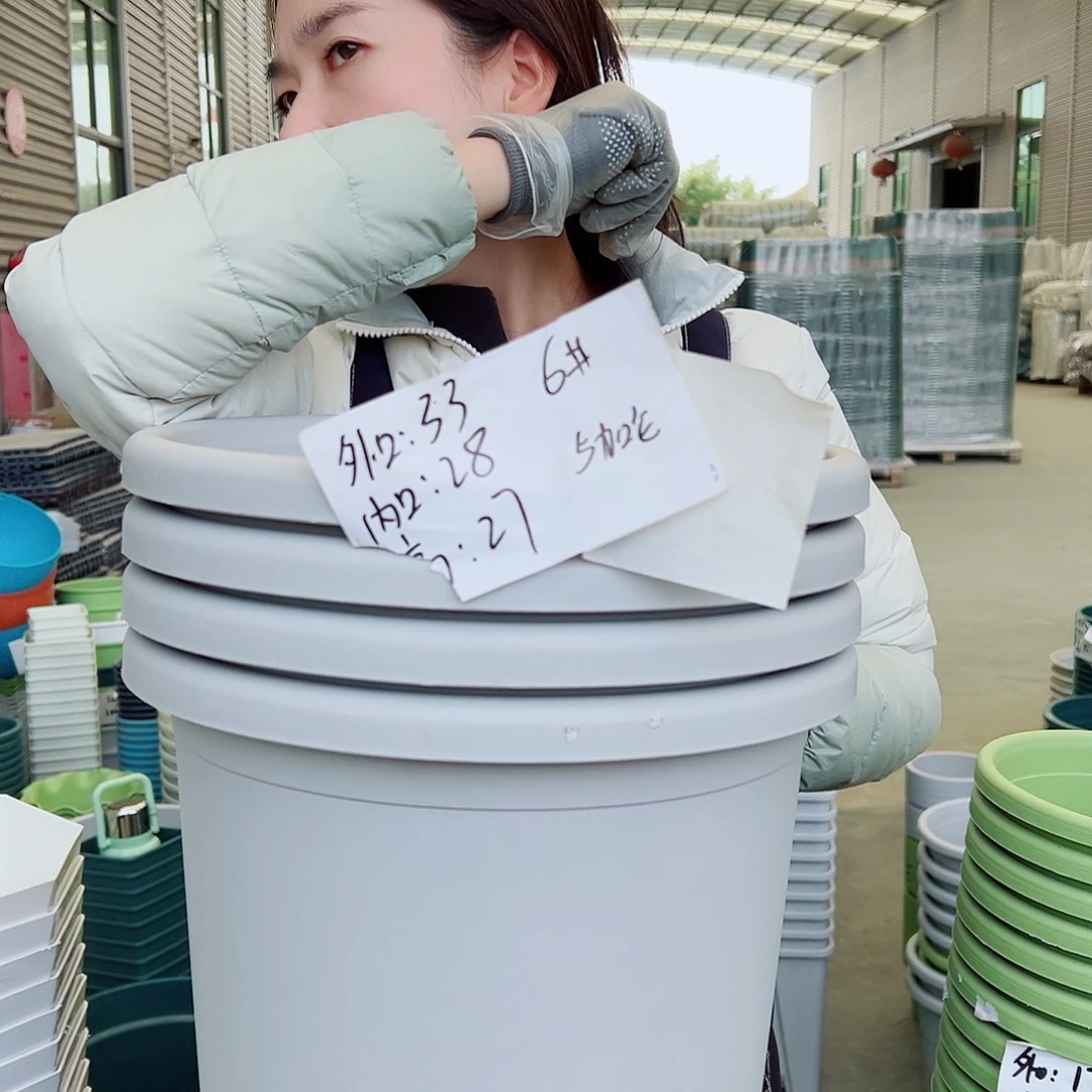 四季盆6#灰白5个无托